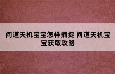 问道天机宝宝怎样捕捉 问道天机宝宝获取攻略